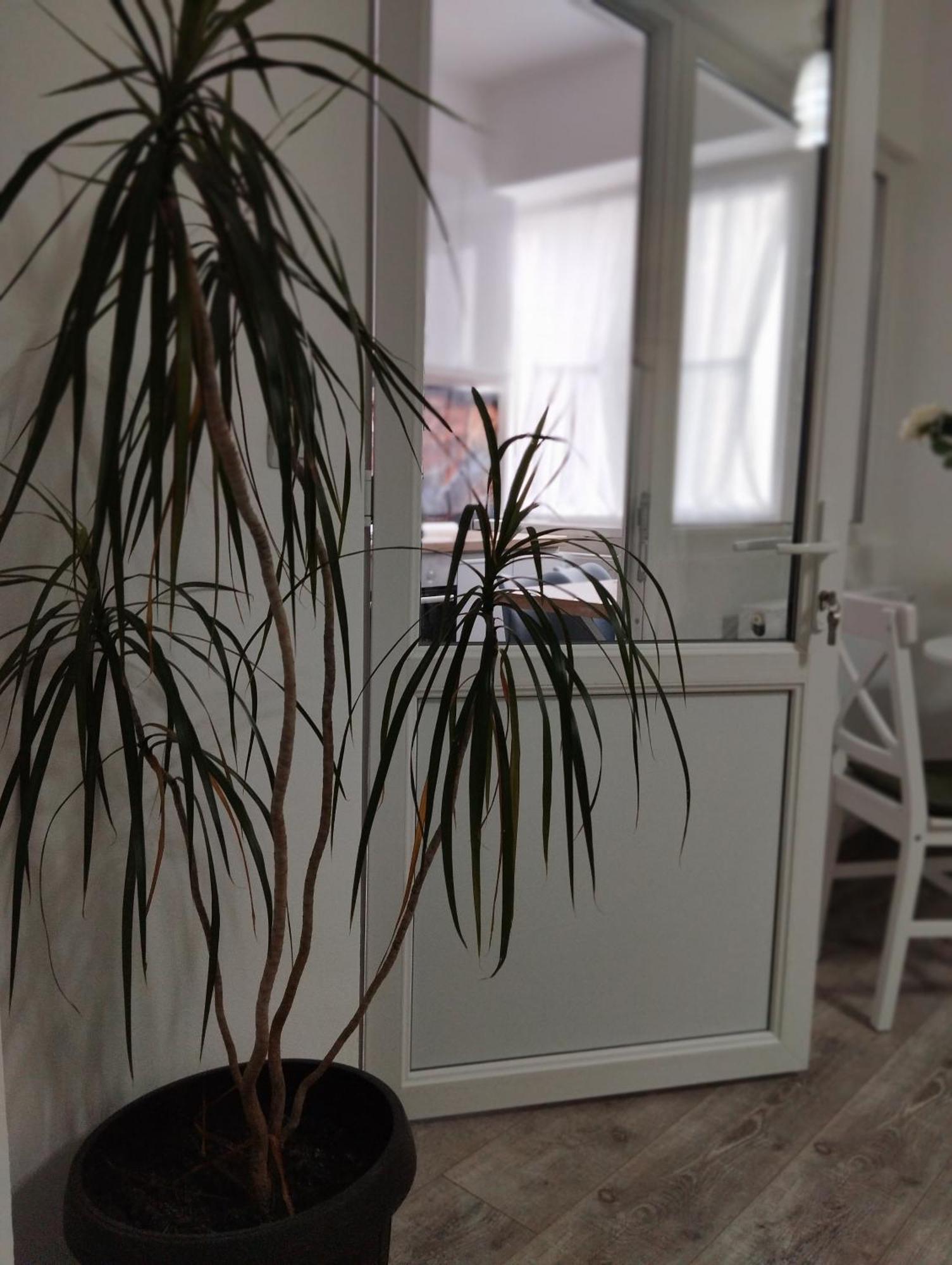 Amber Studio Craiova Kültér fotó